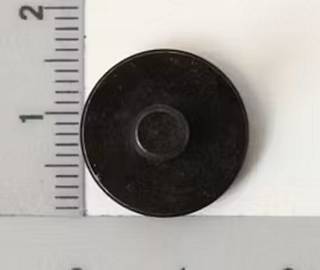 Führungsrolle für Sägebandführung73220018